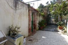 Il-Paradisiello-a-Napoli