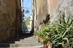 Il-Paradisiello-a-Napoli