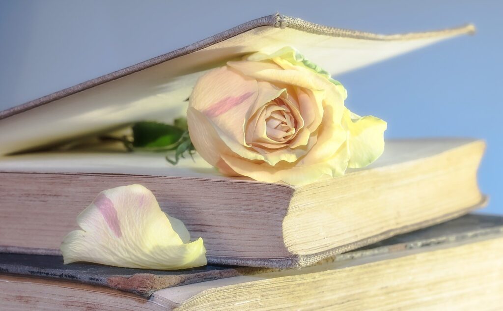 Apocalisse libro