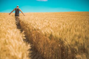 Dio padre e padrone