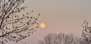Luna di Avvento