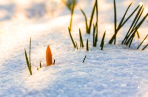 Natale neve